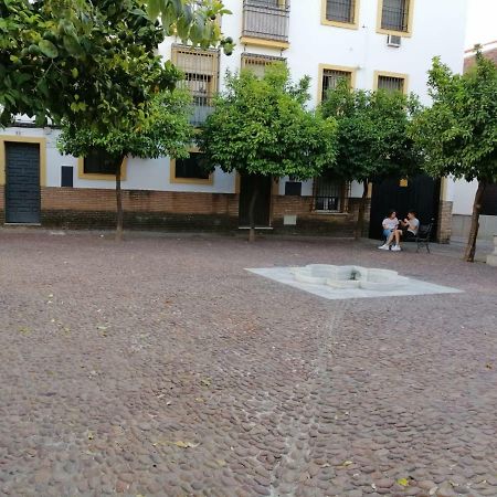 קורדובה Calle Abejar,Plaza מראה חיצוני תמונה