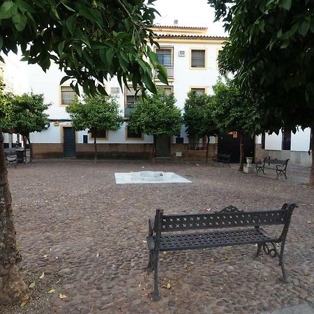 קורדובה Calle Abejar,Plaza מראה חיצוני תמונה