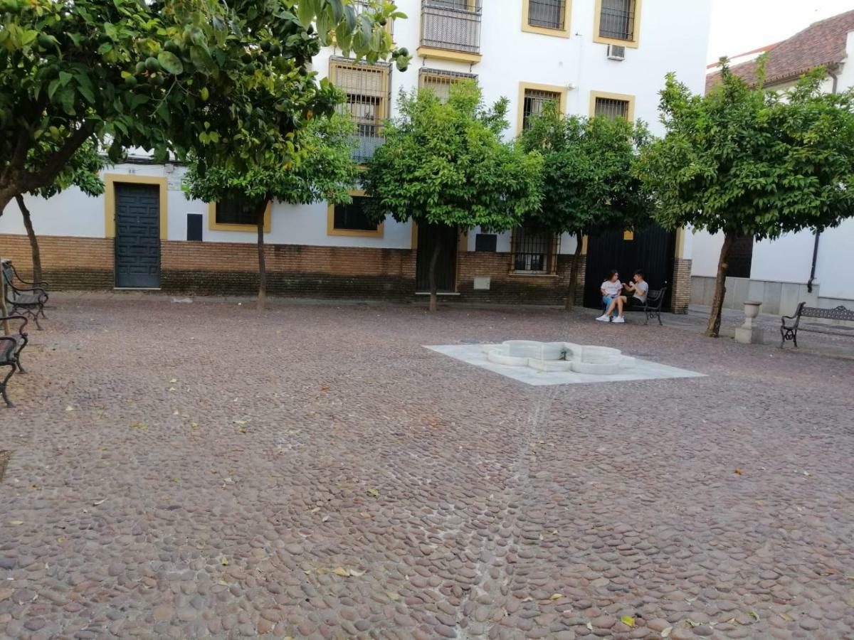 קורדובה Calle Abejar,Plaza מראה חיצוני תמונה