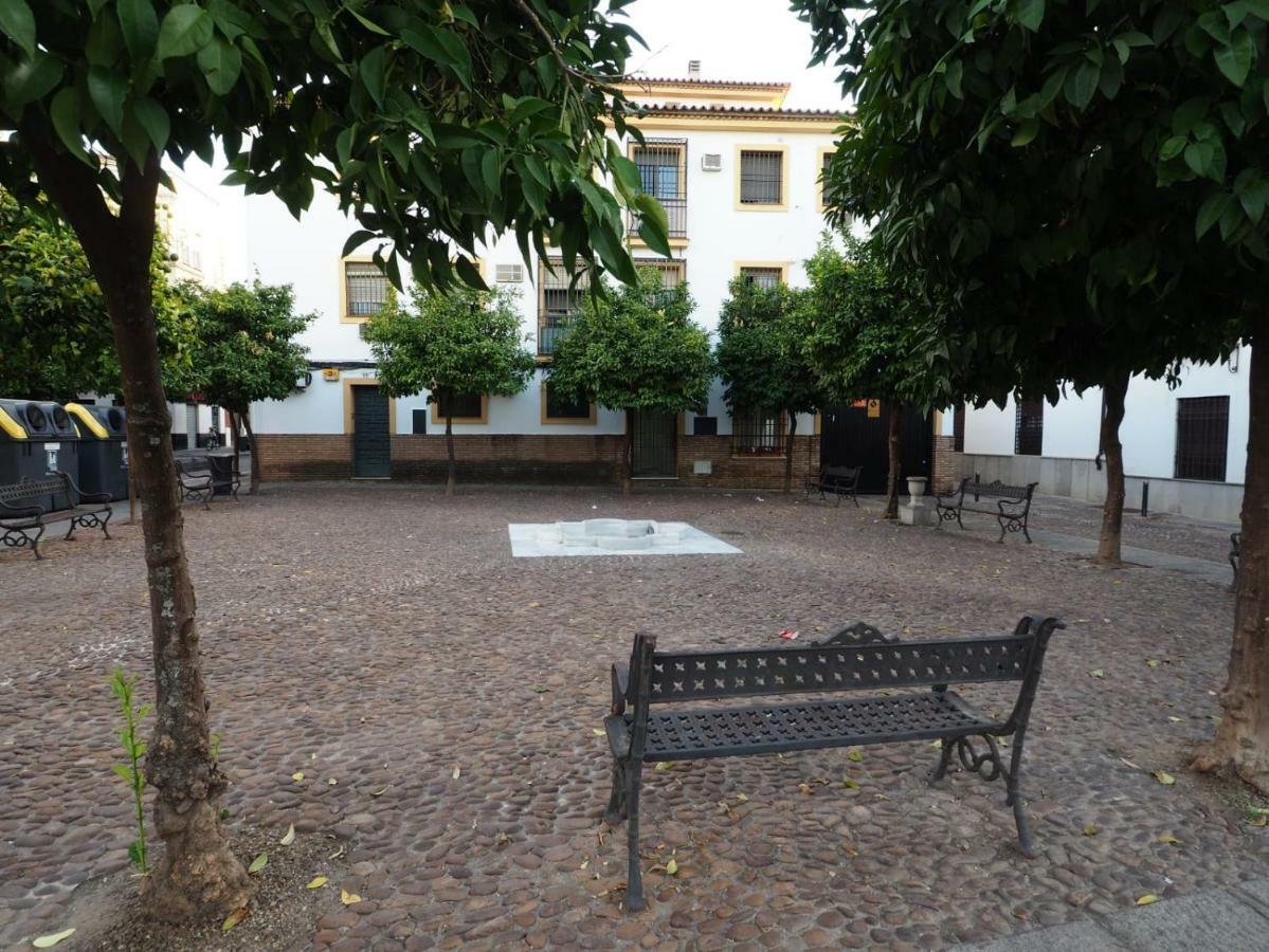 קורדובה Calle Abejar,Plaza מראה חיצוני תמונה